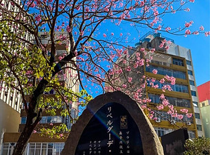 WhatsApp Image 2022-10-03 at 19.41.13.jpeg