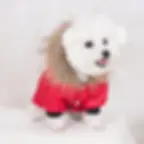 Miniatura: Dog Clothes Hooded Down Jacket Thickened Fashion Warm Pet Coat Puppy Clothing