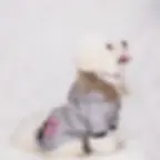 Miniatura: Dog Clothes Hooded Down Jacket Thickened Fashion Warm Pet Coat Puppy Clothing