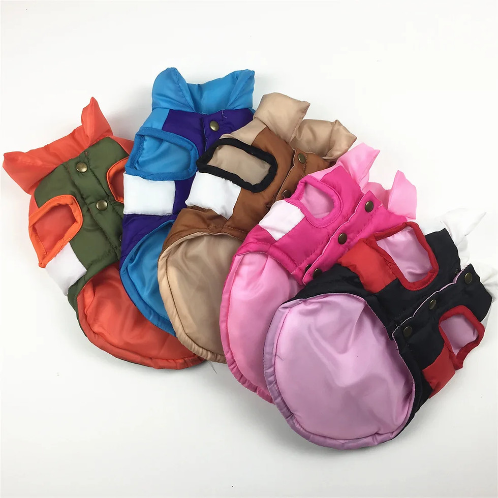 Thumbnail: Winter Warm Dog  Clothes Designer Fashion Dog Cotton  Color Block Pet Coat for