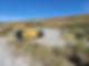 IMG-20240813-WA0010.jpg