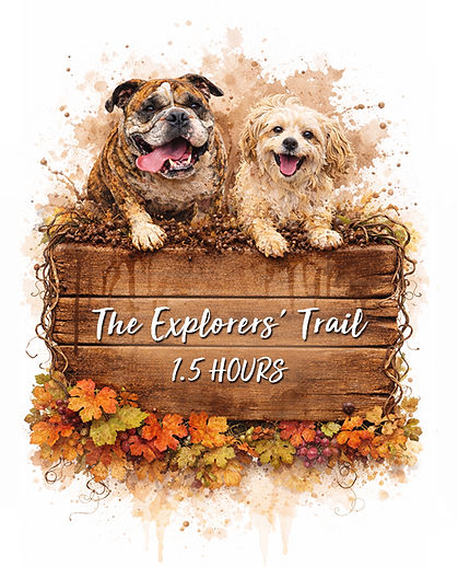 explorers__trail.jpg