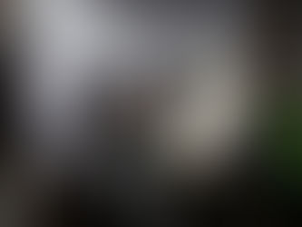 NIYC Brand Shop is open!