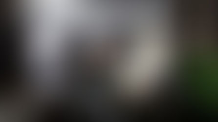 NIYC Brand Shop is open!