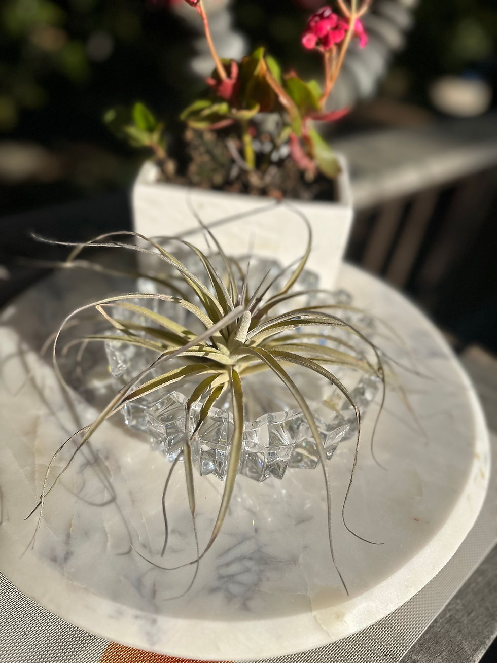 Thumbnail: Heavy Crystal Ashtray/Trinket Dish www.considered-shop.com