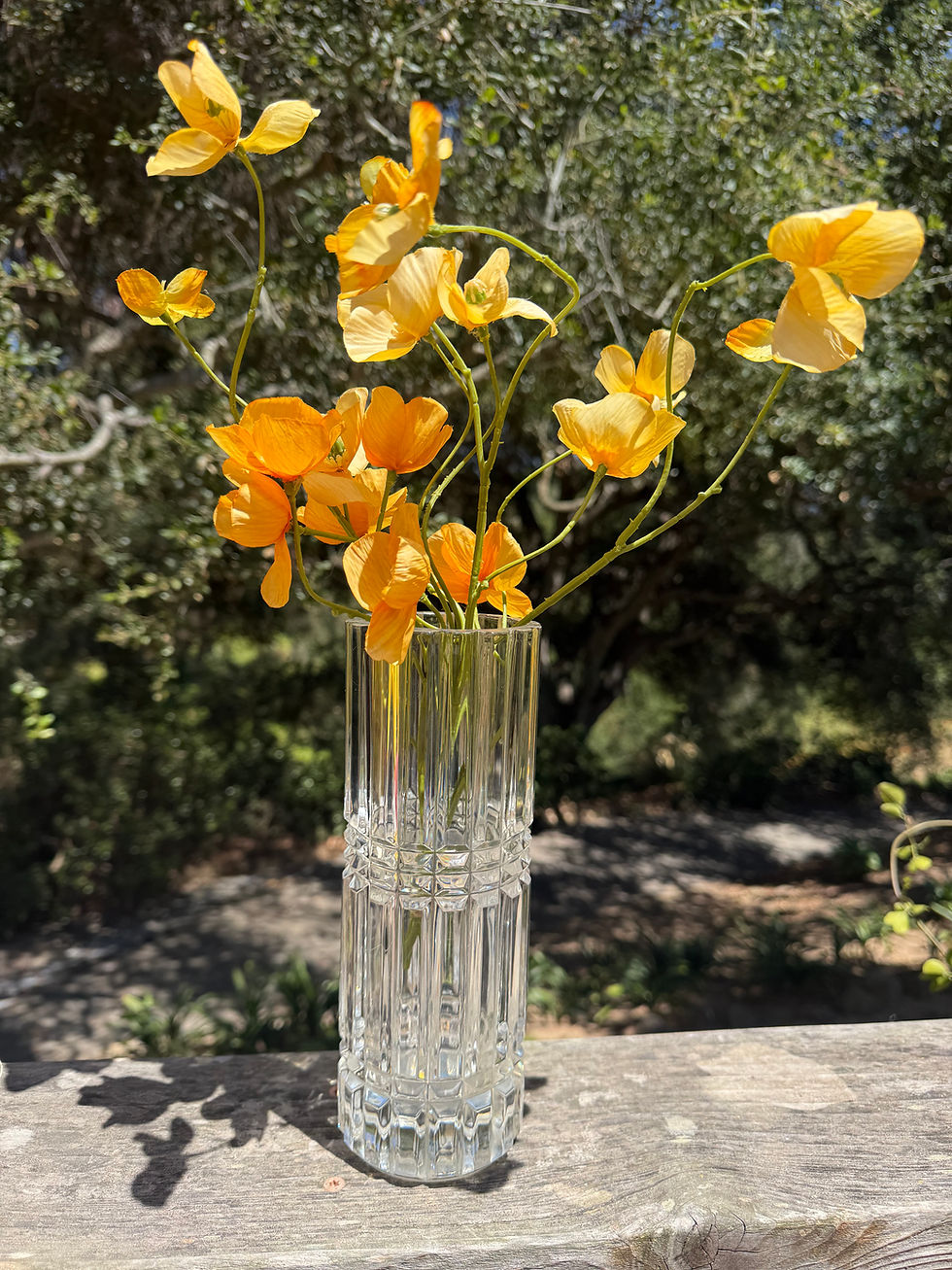 Thumbnail: Cristal D'Arques-Durand Montparnasse Heavy Vase