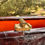 Thumbnail: Vintage Alligator Bag | 1960s | Interior Coin & Mirror | Leon of California www.considered-shop.com