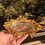 Thumbnail: Hollywood Regency Ormolu Vanity Set | Tray, Soap Dish & Trinket Dish