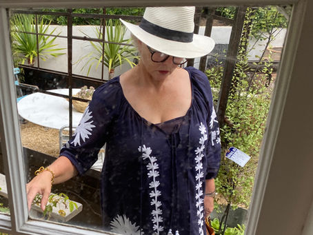 Valentine's Day 2022