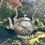 Thumbnail: Eduard Hueck | German Nickel Teapot (Missing Stand)