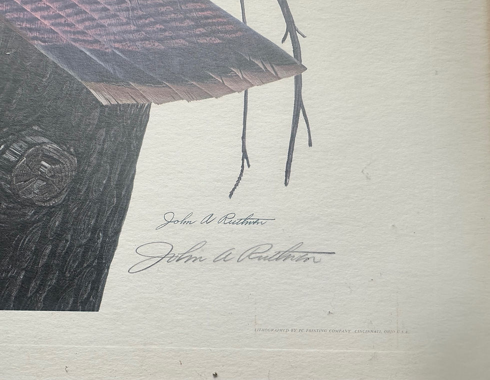 Thumbnail: 1967 John A. Ruthven’s Eastern Wild Turkey Litho | Signed # 644/1000