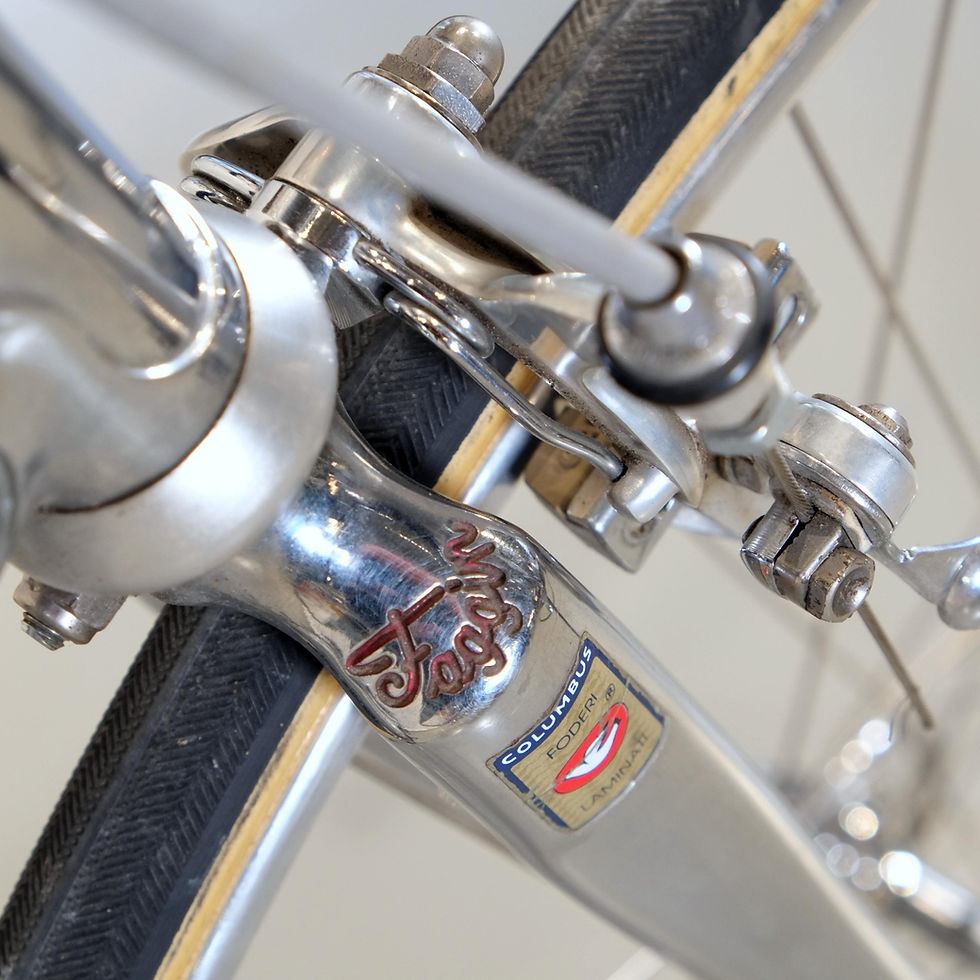 Miniaturbild: Faggin Rennrad