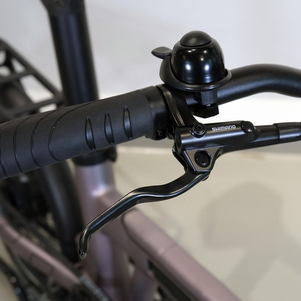 Miniaturbild: Fuerdi E-Bike Klapprad