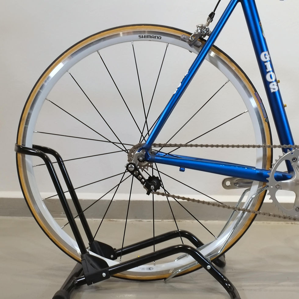 Miniaturbild: Gios Singlespeed