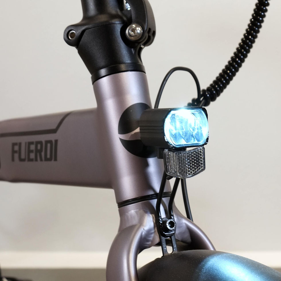 Miniaturbild: Fuerdi E-Bike Klapprad