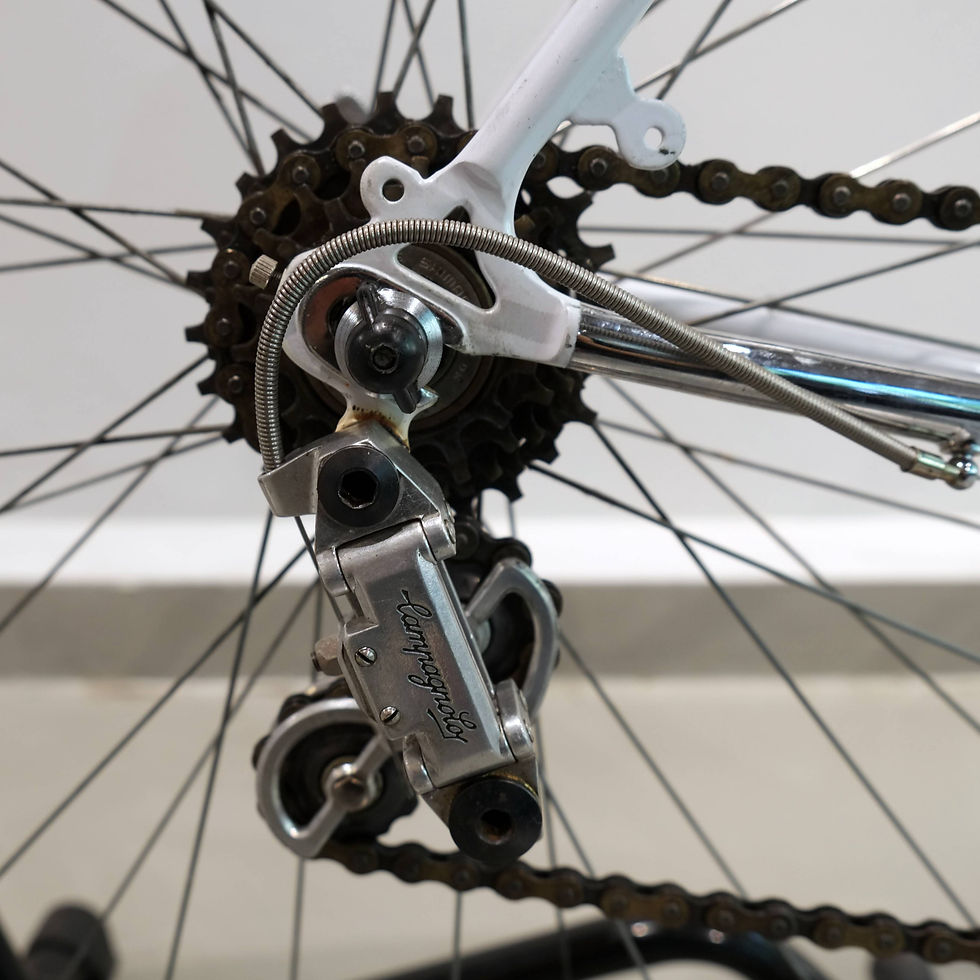 Miniaturbild: Vicini Damenrennrad