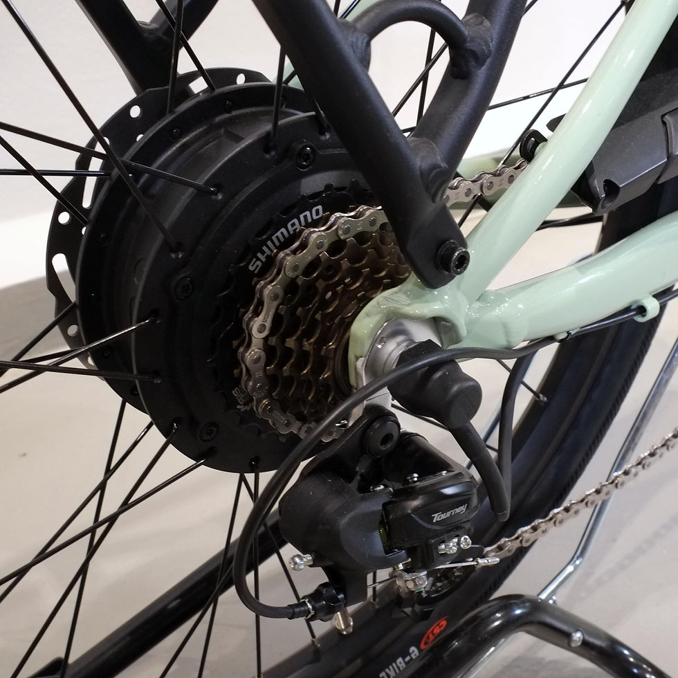 Miniaturbild: Fuerdi 24 E-Bike