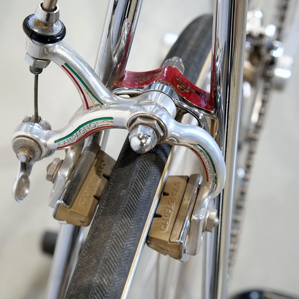 Miniaturbild: Faggin Rennrad