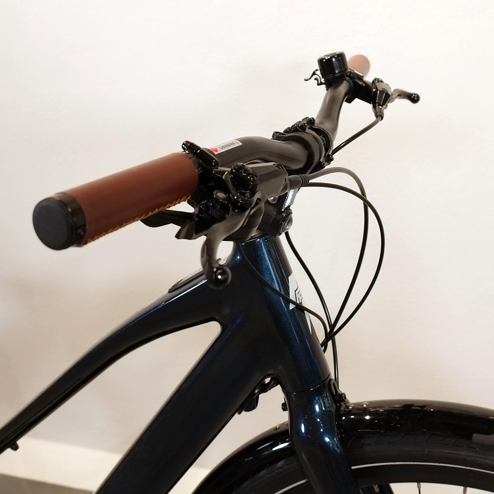 Miniaturbild: Fafrees F700W E-Bike