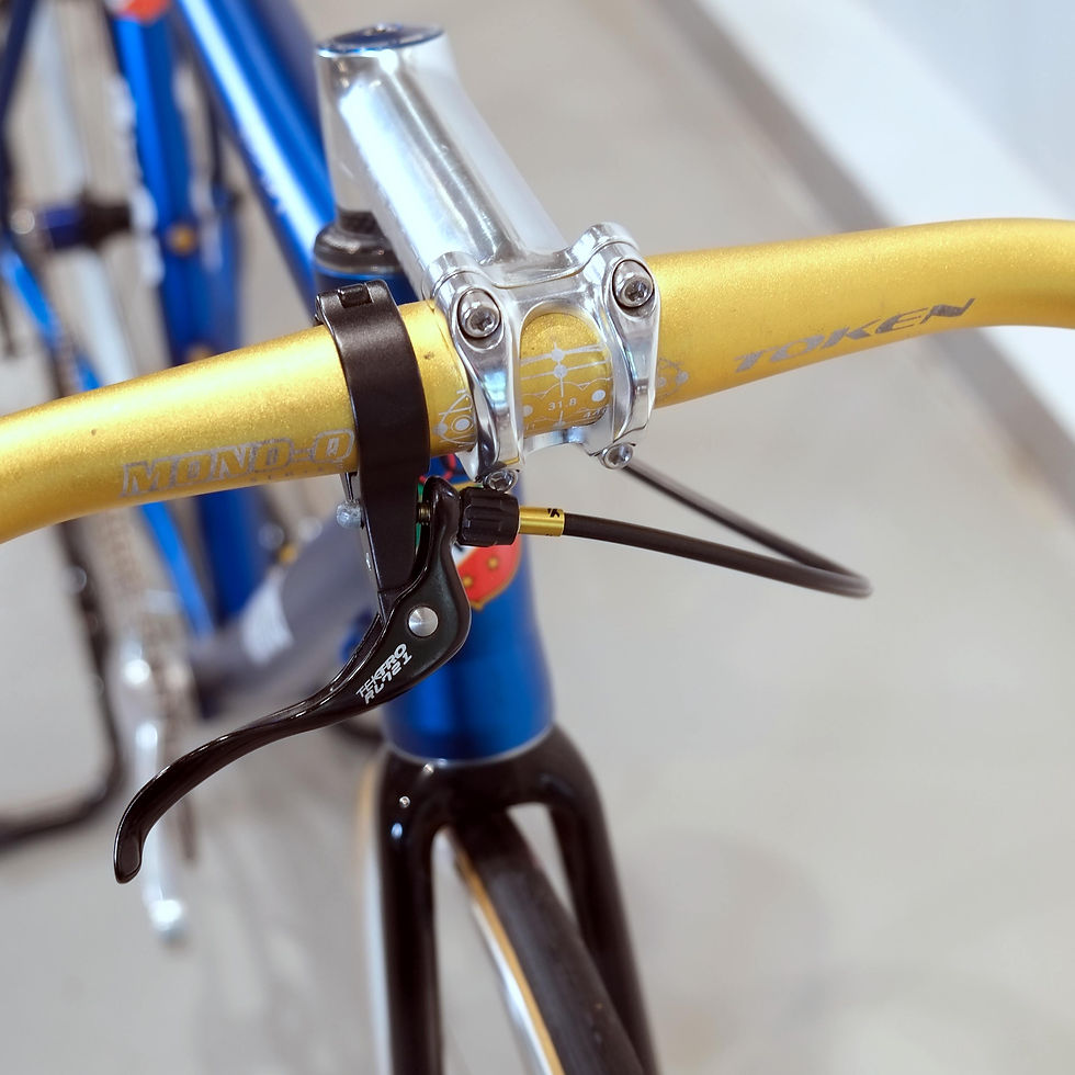 Miniaturbild: Gios Singlespeed