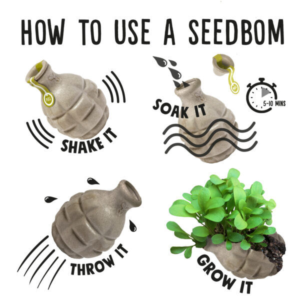 Thumbnail: Butterflybom Seedbom