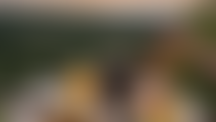 "5 Errores Comunes que Alejan a los Huéspedes (y Cómo Solucionarlos)