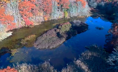 Pond area Upper Childs River