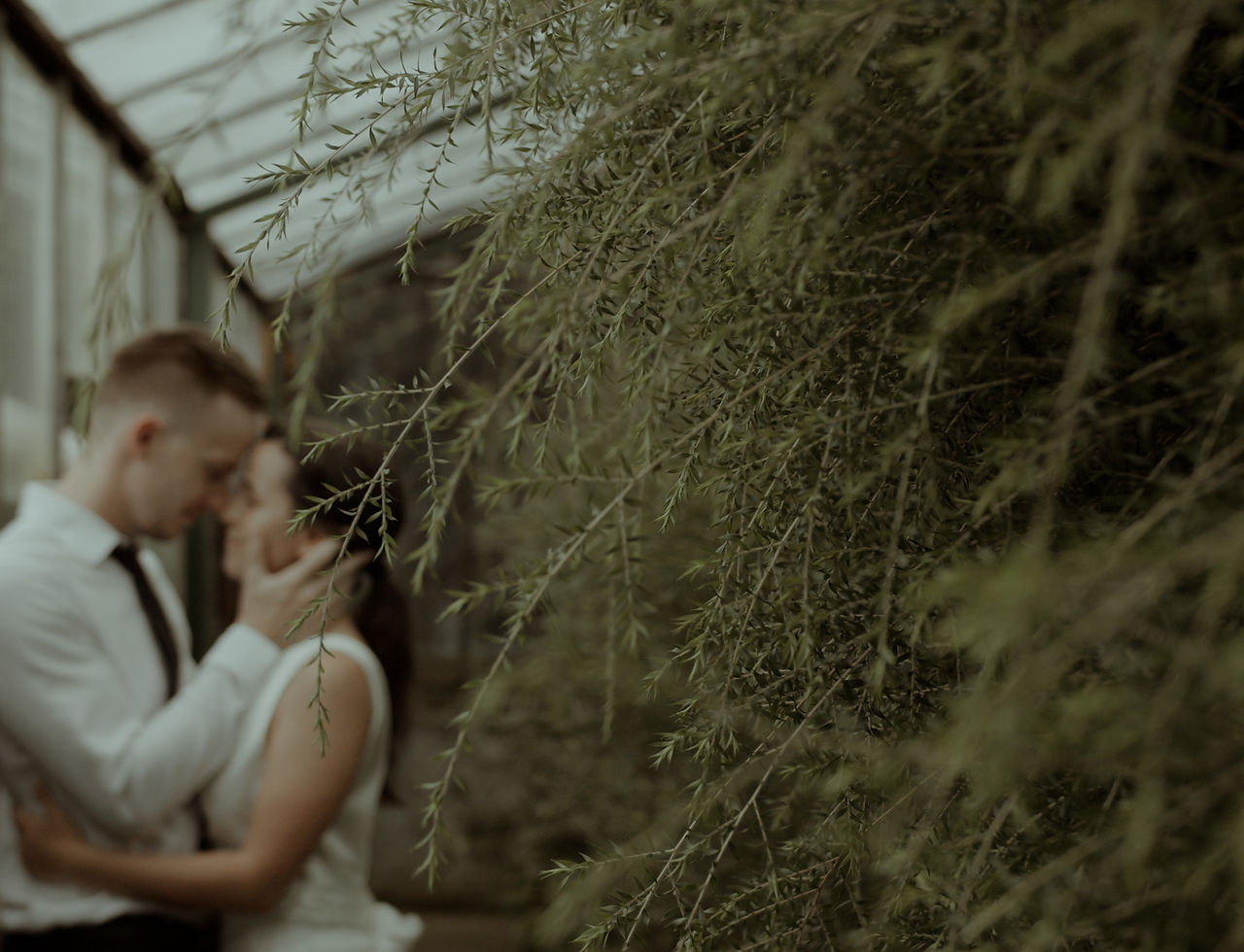 Dadka Johnny wedding