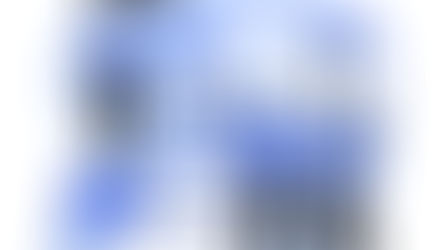 Årets kandidater til valget!