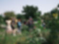 Kleine Stadt Farm_edited.jpg