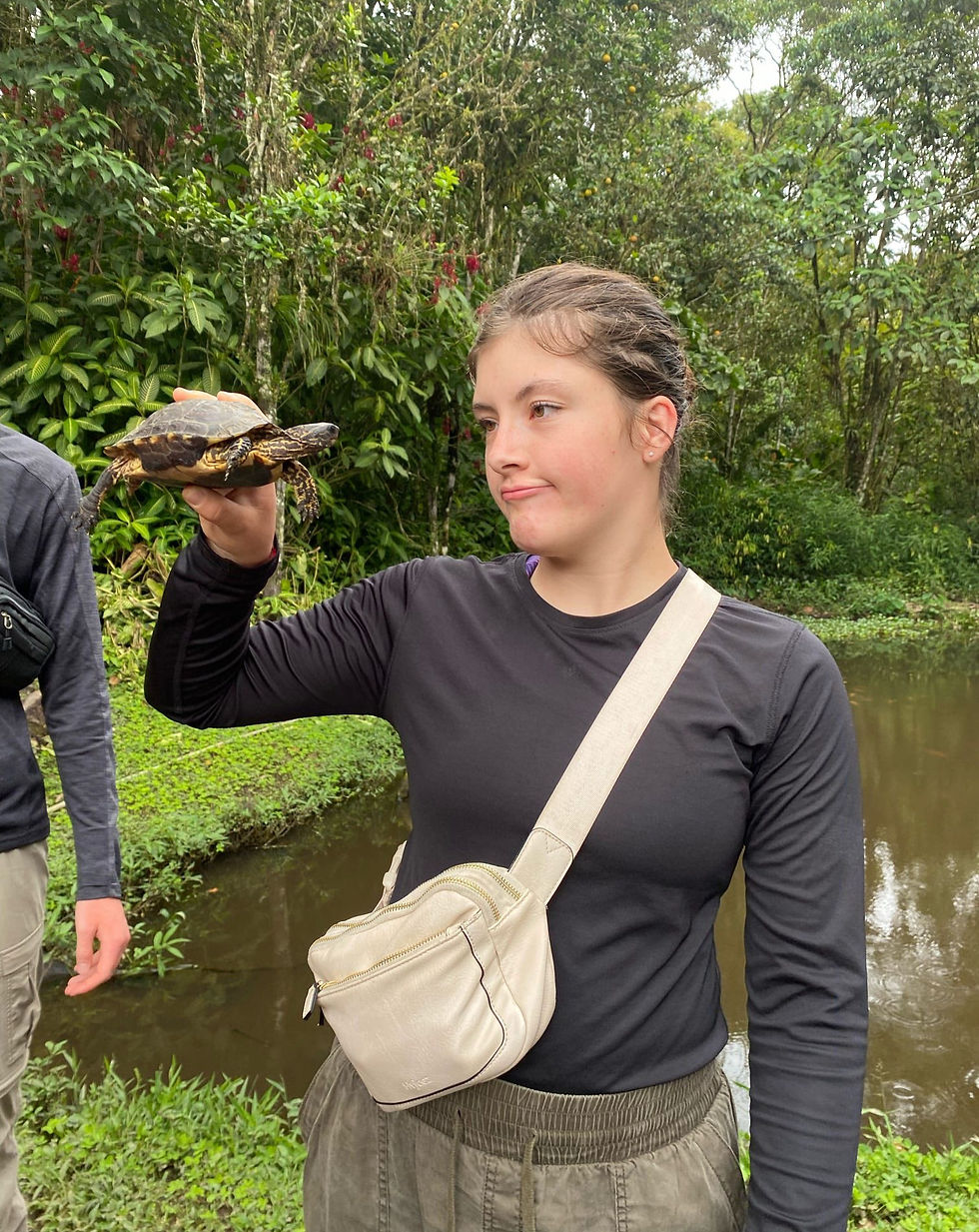 Look at a turtle on a info hike at the bird sanctuary in Mindo, Ecuador.