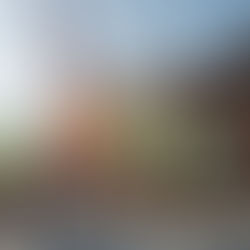 General Contractor vs. Construction Manager: Key Differences