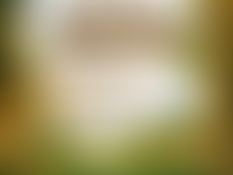 Wald & Wild Tag 2026