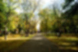 Le_Campus-15_edited.jpg