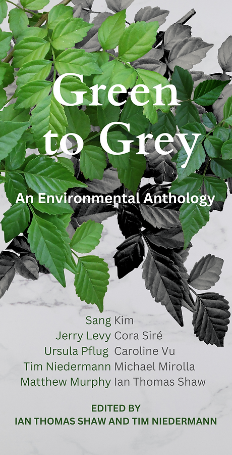 Green to Grey Front Cover (1).png