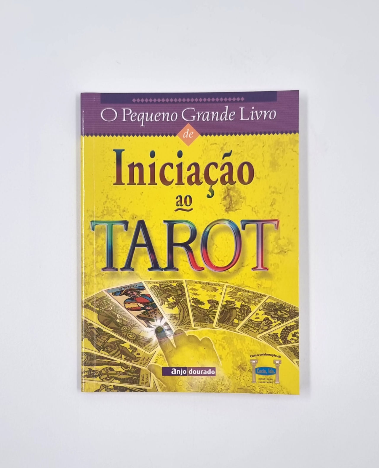 O Pequeno Grande Livro de Iniciação ao Tarot