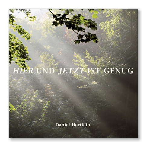 Sunlight falls on the dense, green canopy of a deciduous forest and illuminates the scene. CD cover by spiritual teacher Daniel Hertlein: ‘Here and now is enough’.