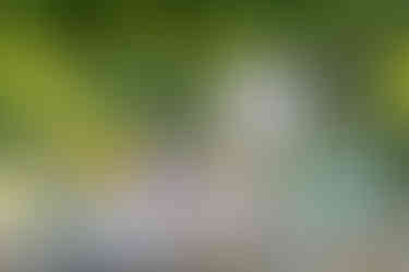 Spiritual teacher Daniel Hertlein places his hand on the head of a participant at a retreat in Italy and gives her Shaktipat.