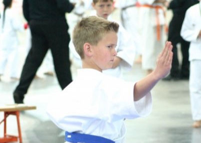 SEIWAKAI SundayTraining Hombu Dojo