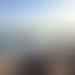 Navigating Grief and the Significance of Continuing Bonds