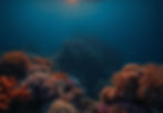 coral reefs_edited.jpg