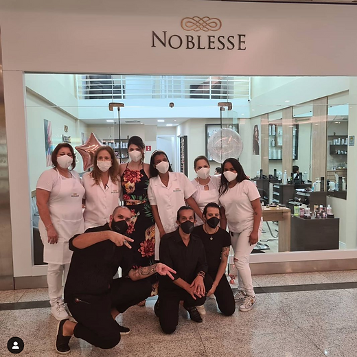 imagens noblesse (2).png