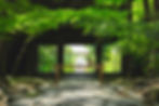 2024photo_0001