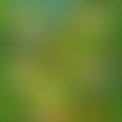 itinerari lavorativi, scelte professionali, scenari lavorali