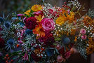 Firefly_Gflower717914_edited.jpg