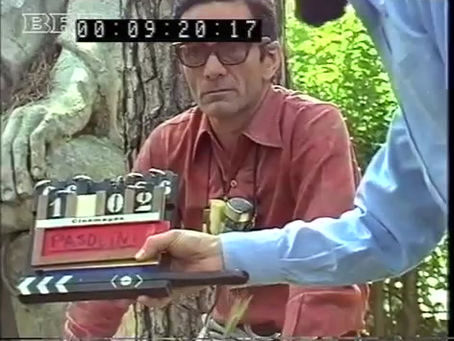 "Pier Paolo Pasolini: l'intervista sotto l'albero". Gideon Bachmann. Salò (1975)