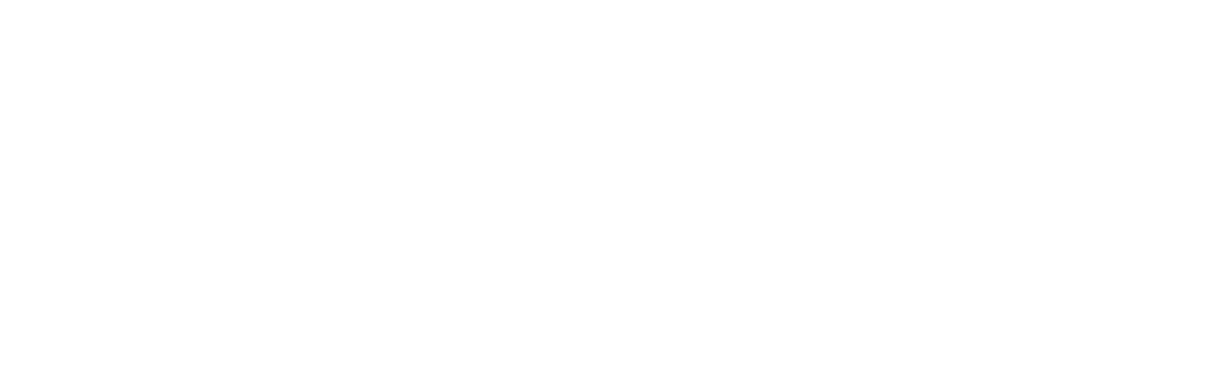 iNCO_Zytoenergese_alleine_weiß.png