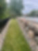 IMG_0677.jpeg