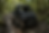 f38db67b-3c19-41c4-9810-eac59e74c0d3.png