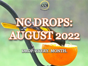 NC DROPS: AUGUST 2022